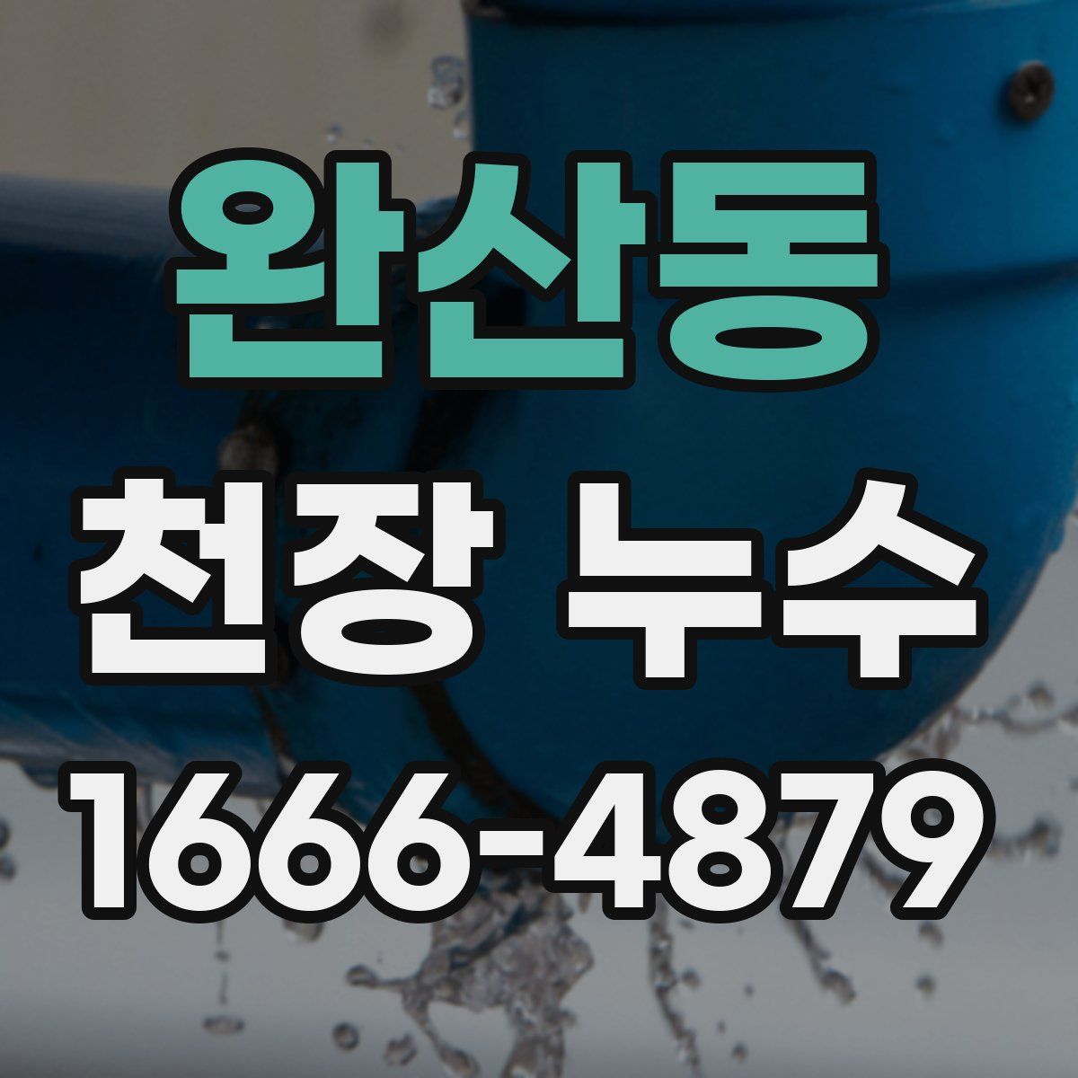 완산동 천장 누수