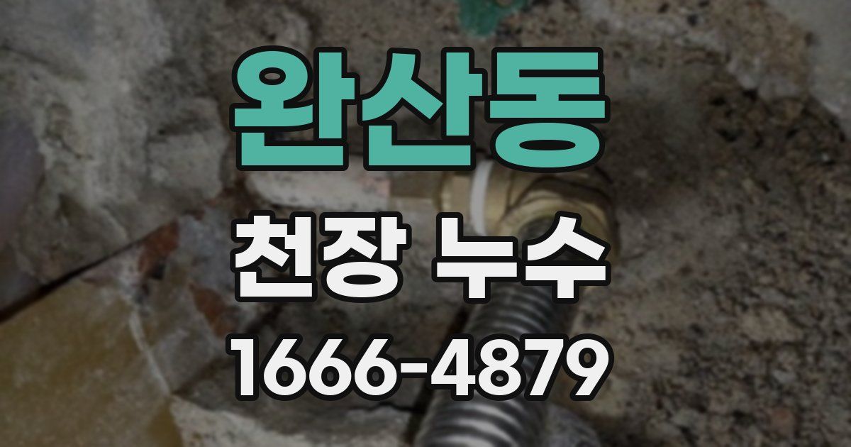 완산동 천장 누수