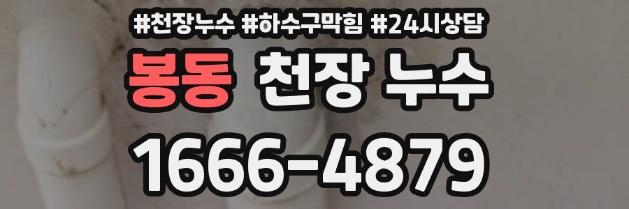 봉동 천장 누수