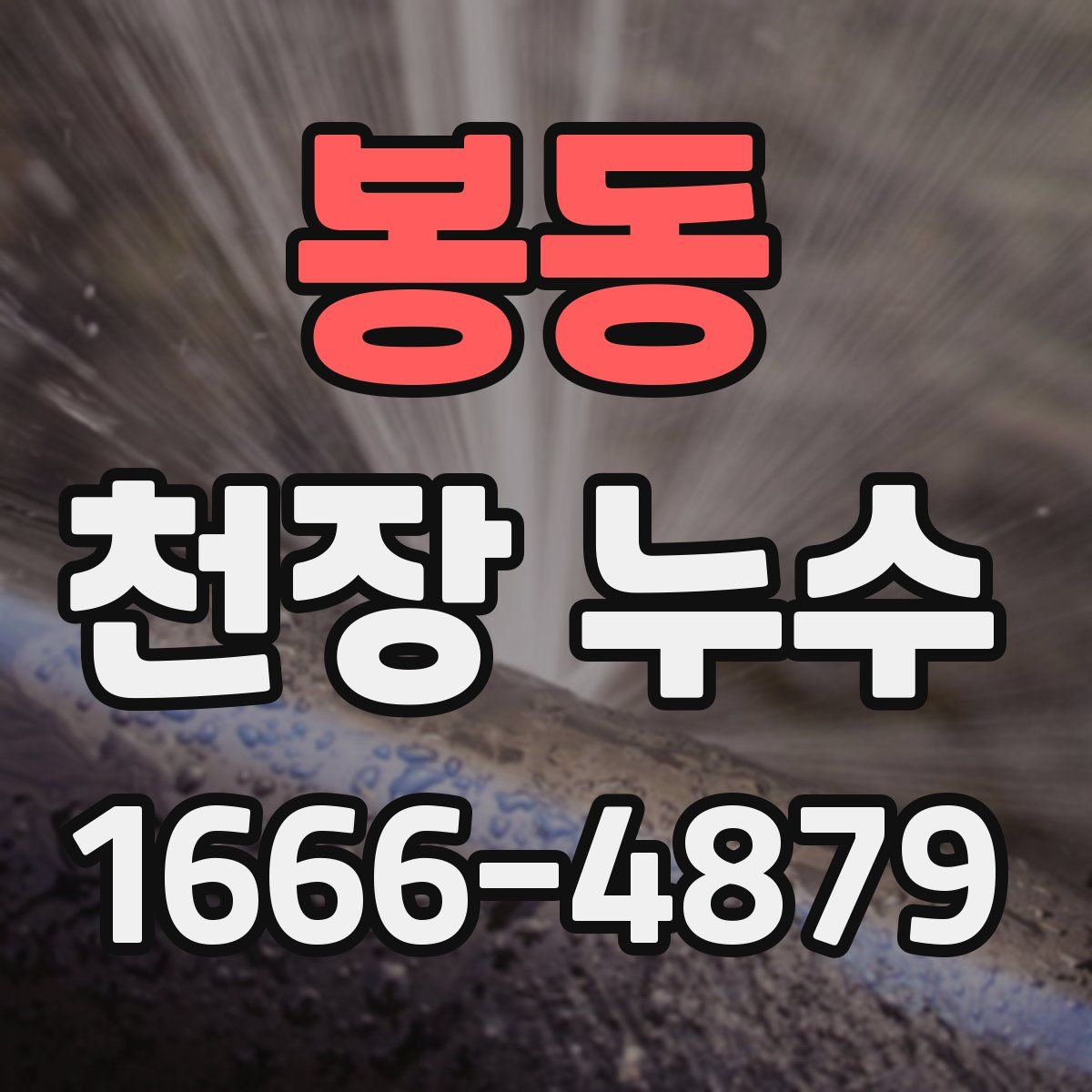 봉동 천장 누수