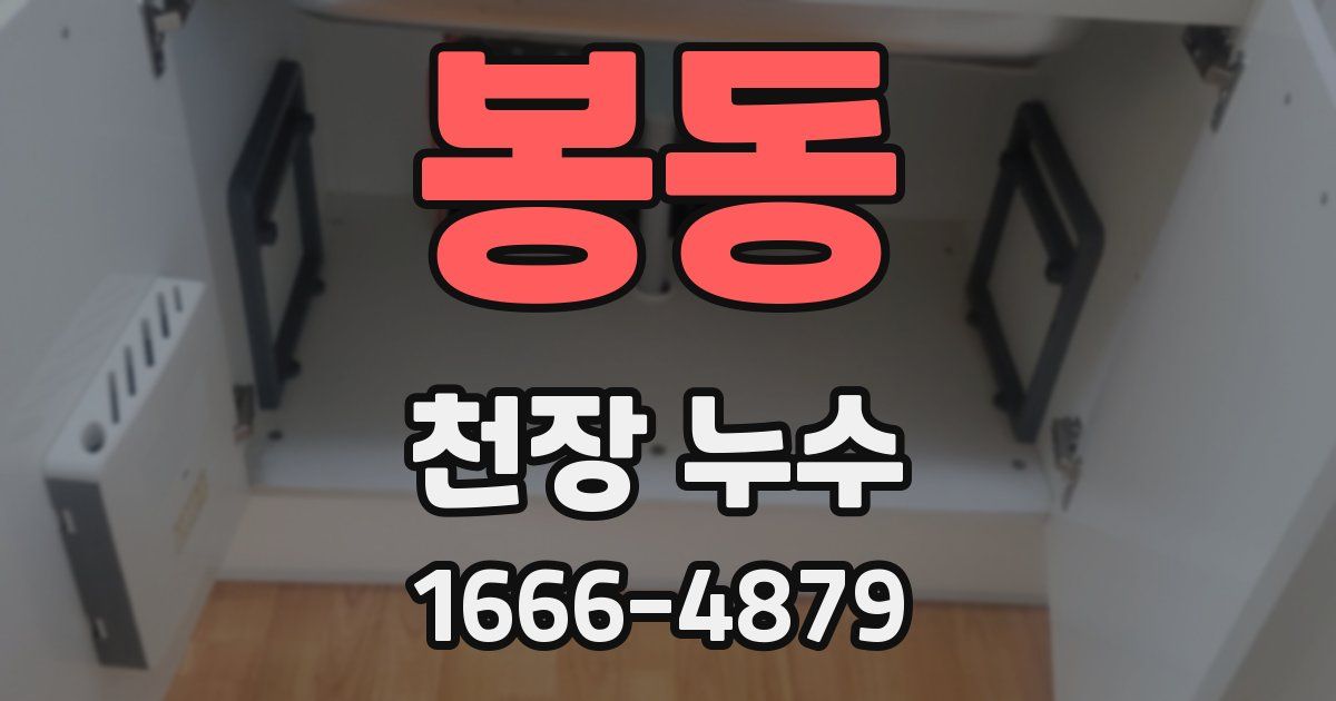 봉동 천장 누수