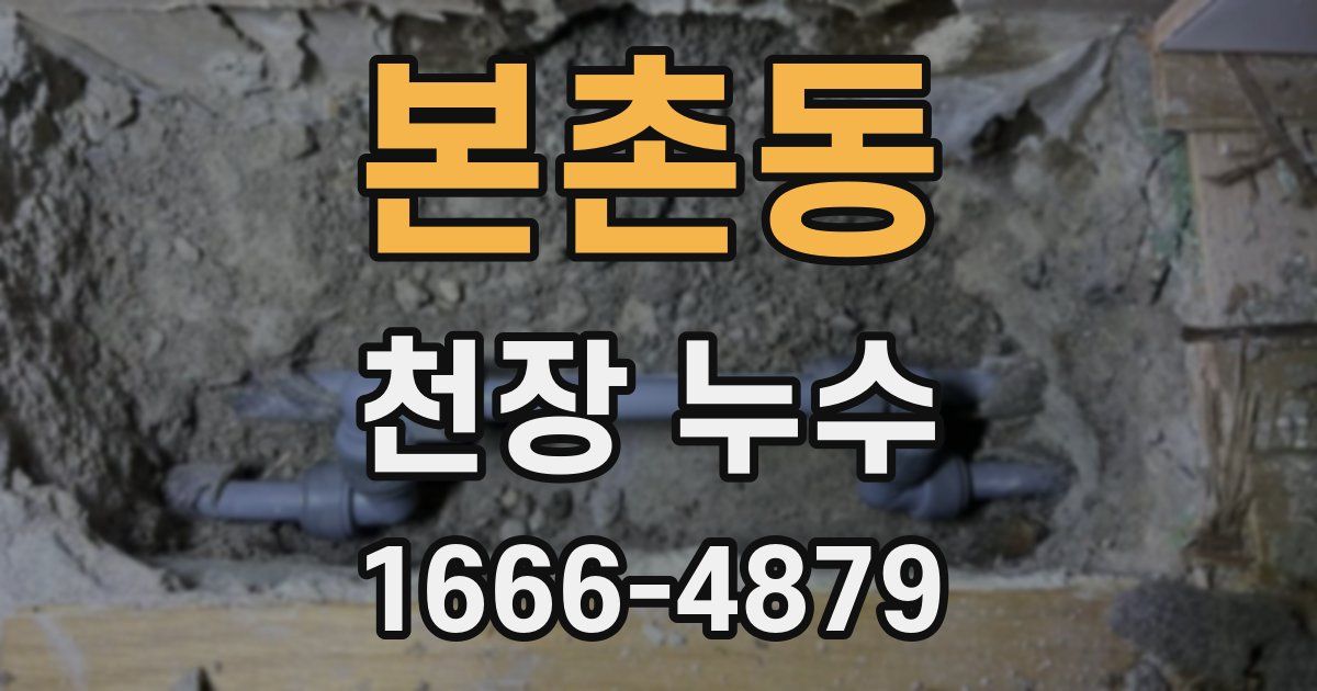 본촌동 천장 누수