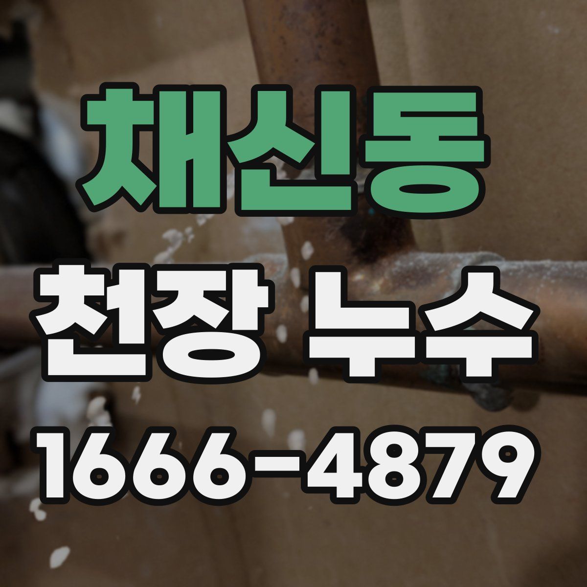 채신동 천장 누수