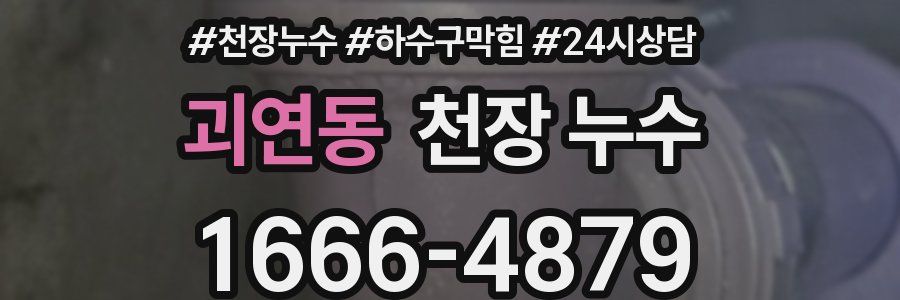 괴연동 천장 누수