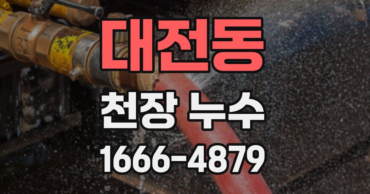 대전동 천장 누수