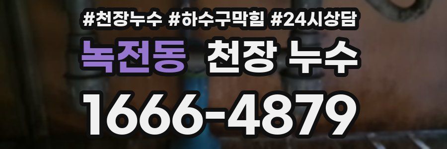 녹전동 천장 누수