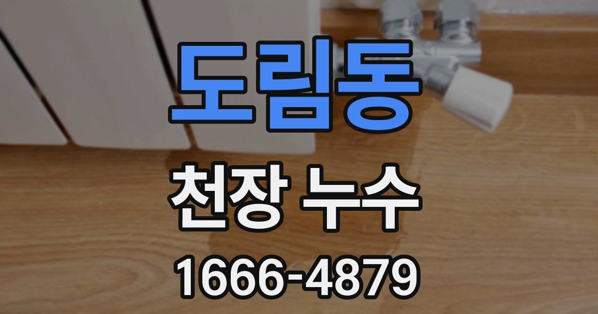 도림동 천장 누수