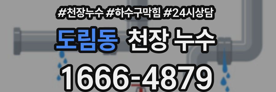 도림동 천장 누수