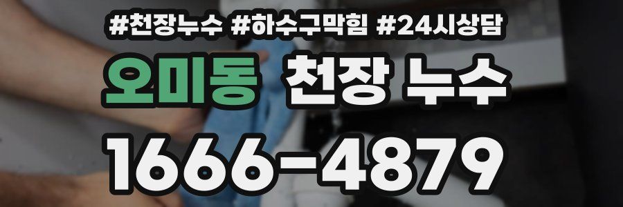 오미동 천장 누수