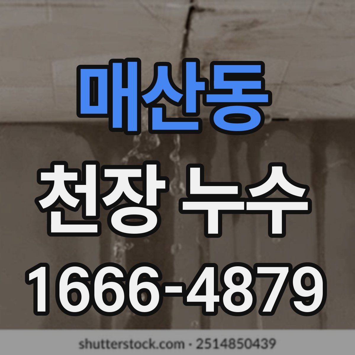 매산동 천장 누수