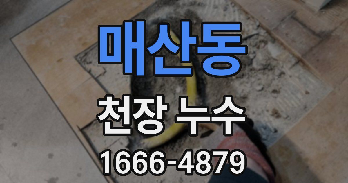 매산동 천장 누수