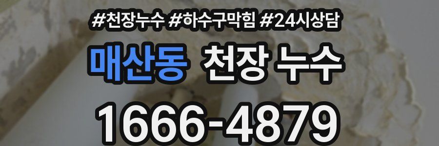 매산동 천장 누수