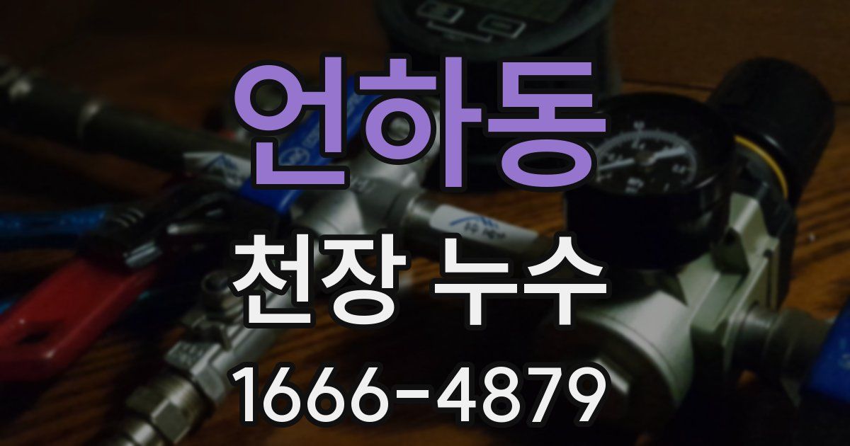 언하동 천장 누수