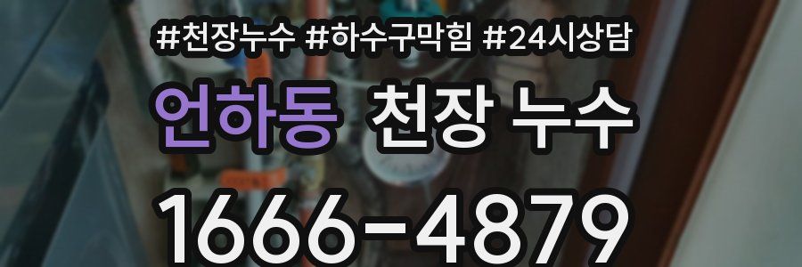 언하동 천장 누수