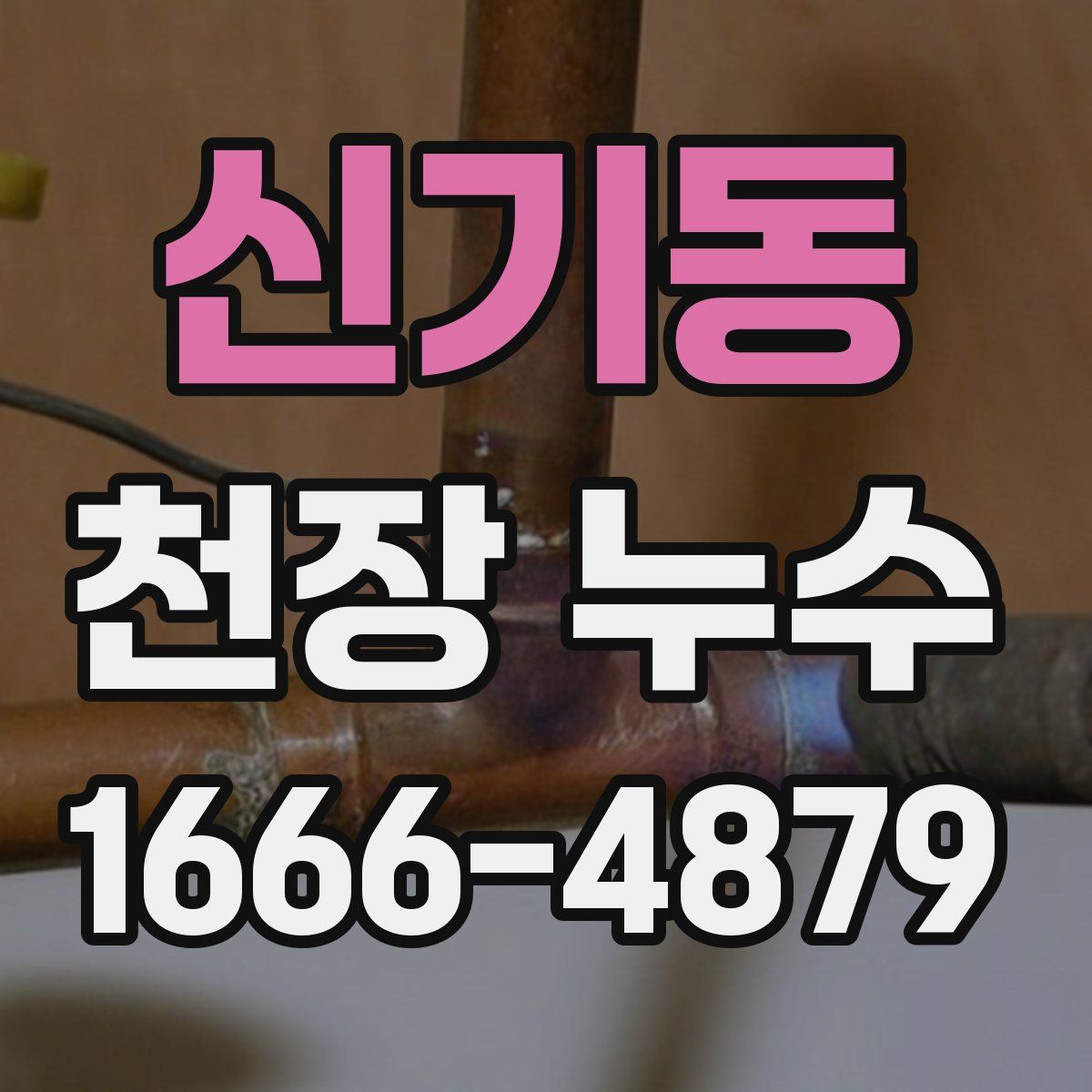 신기동 천장 누수