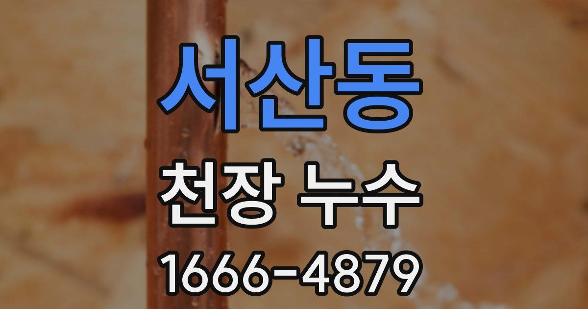 서산동 천장 누수