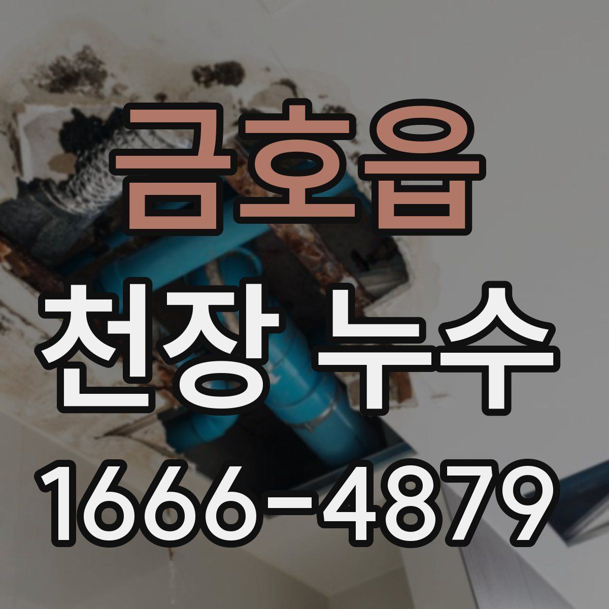 금호읍 천장 누수