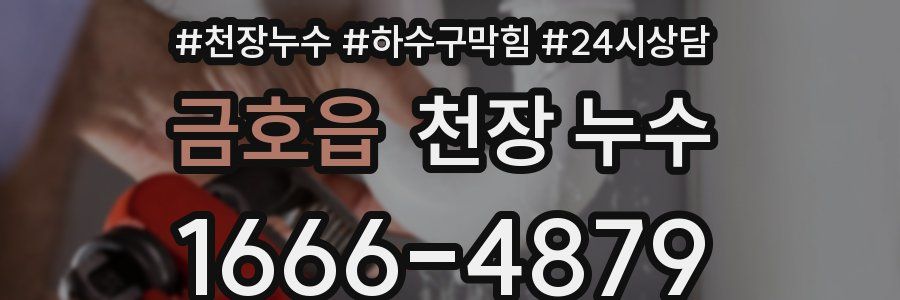 금호읍 천장 누수