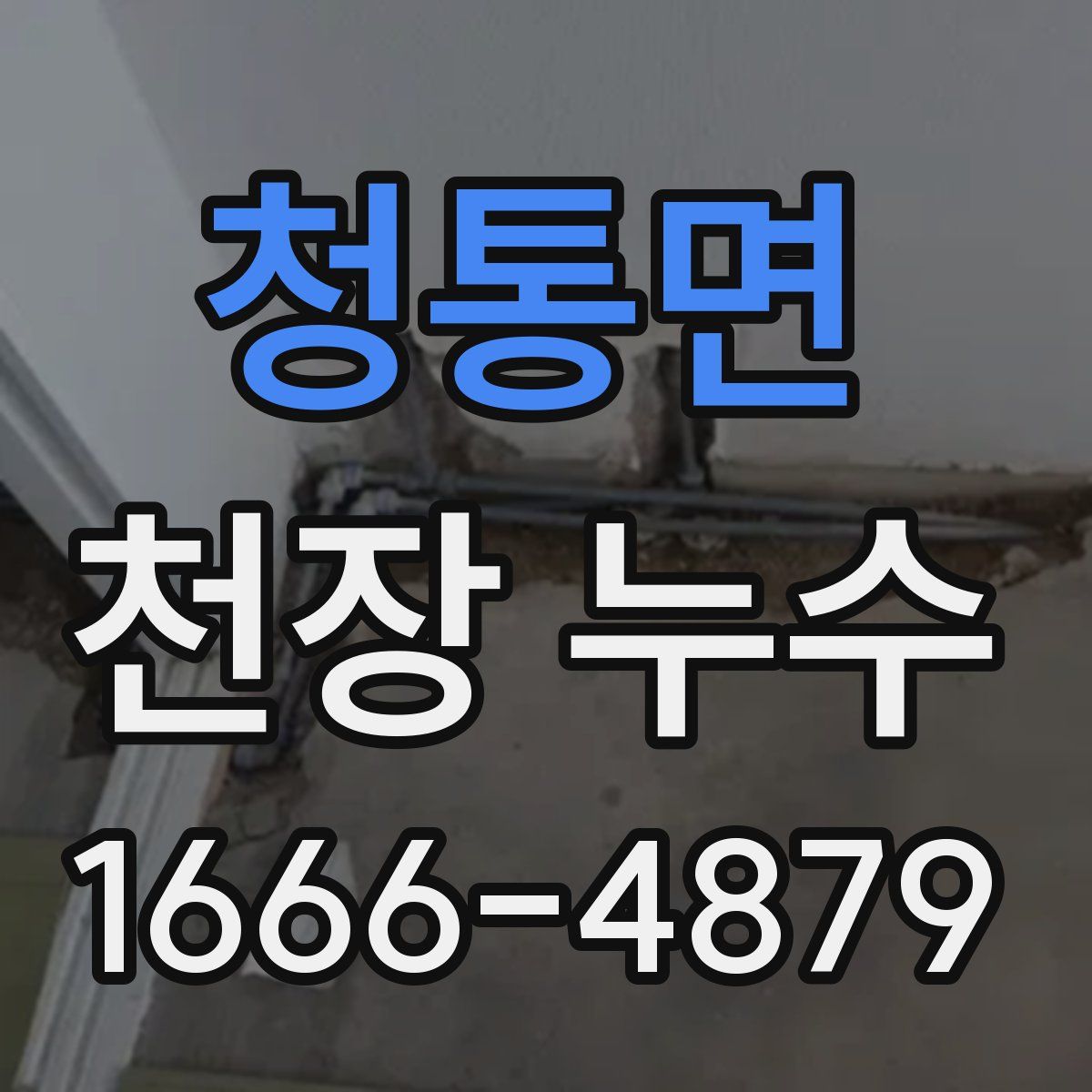 청통면 천장 누수