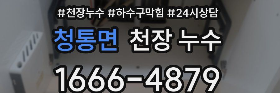 청통면 천장 누수