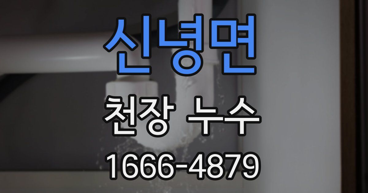 신녕면 천장 누수