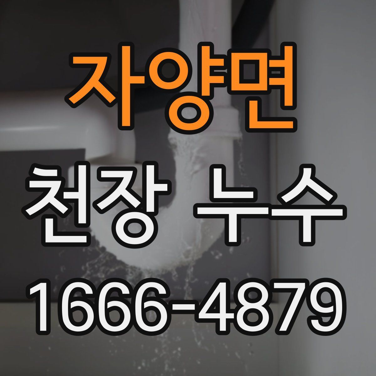 자양면 천장 누수