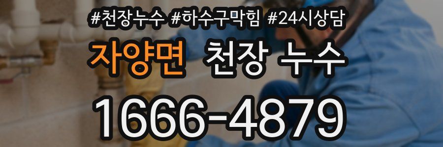 자양면 천장 누수