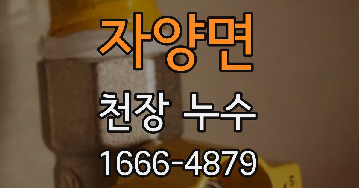 자양면 천장 누수