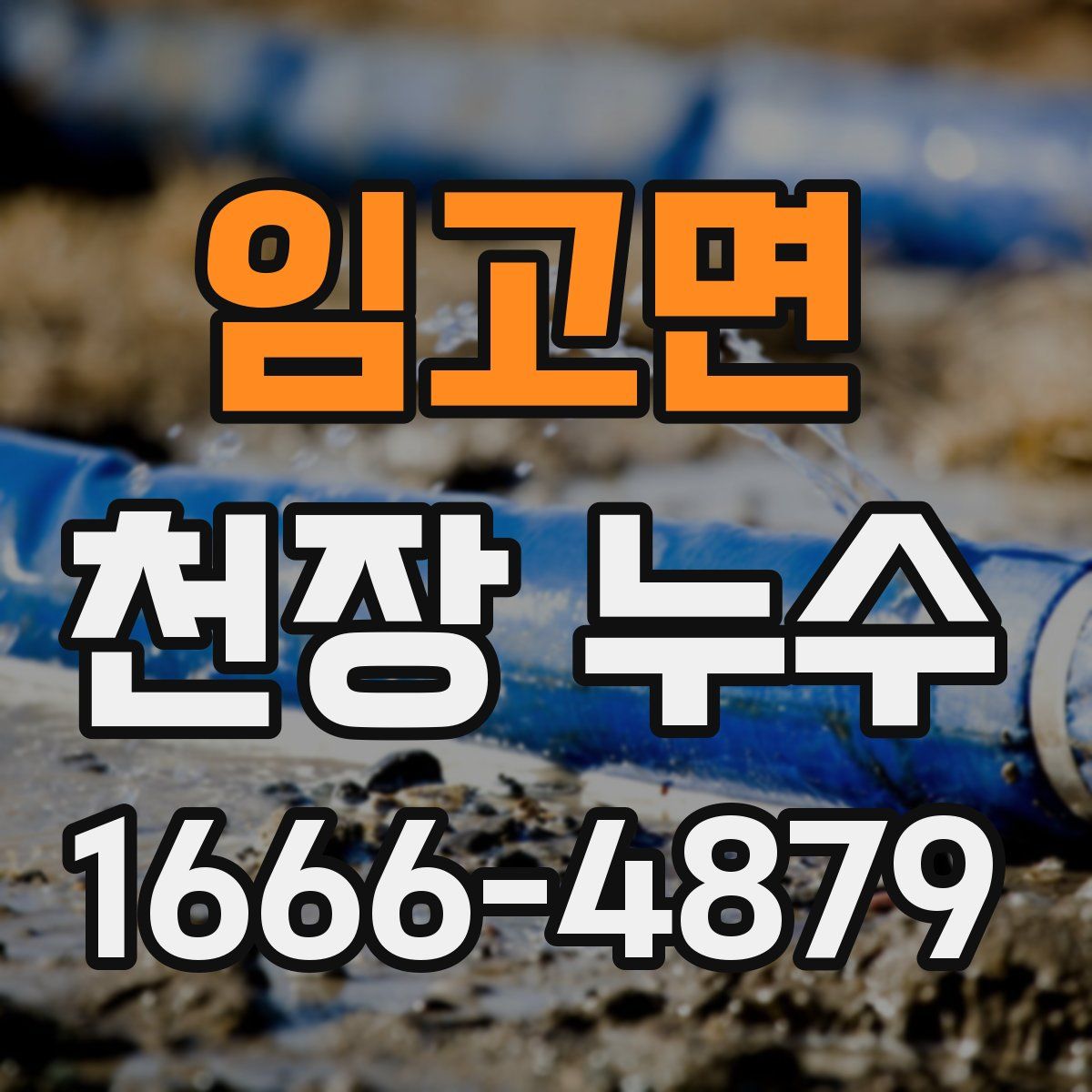 임고면 천장 누수