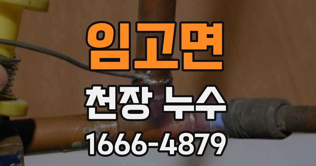 임고면 천장 누수