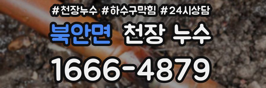 북안면 천장 누수