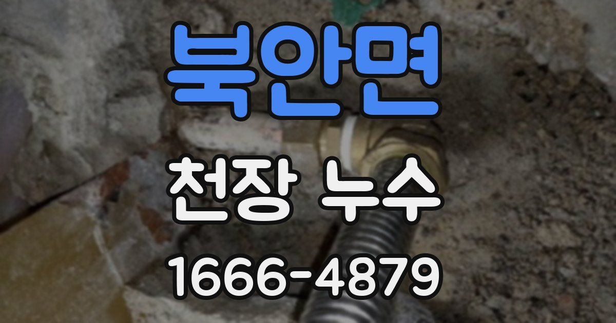 북안면 천장 누수