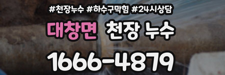 대창면 천장 누수