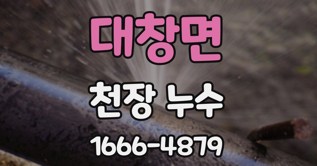 대창면 천장 누수