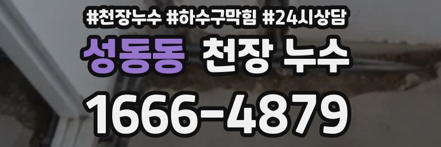 성동동 천장 누수