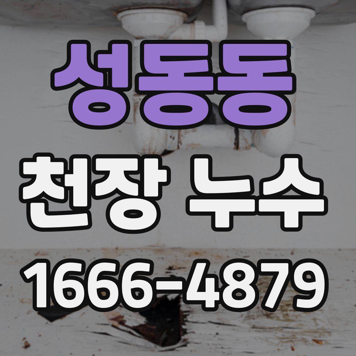 성동동 천장 누수