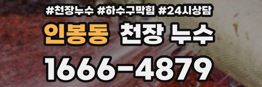 인봉동 천장 누수