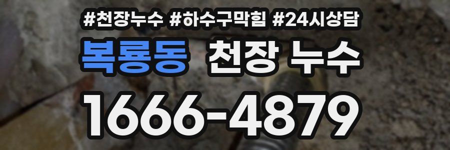 복룡동 천장 누수