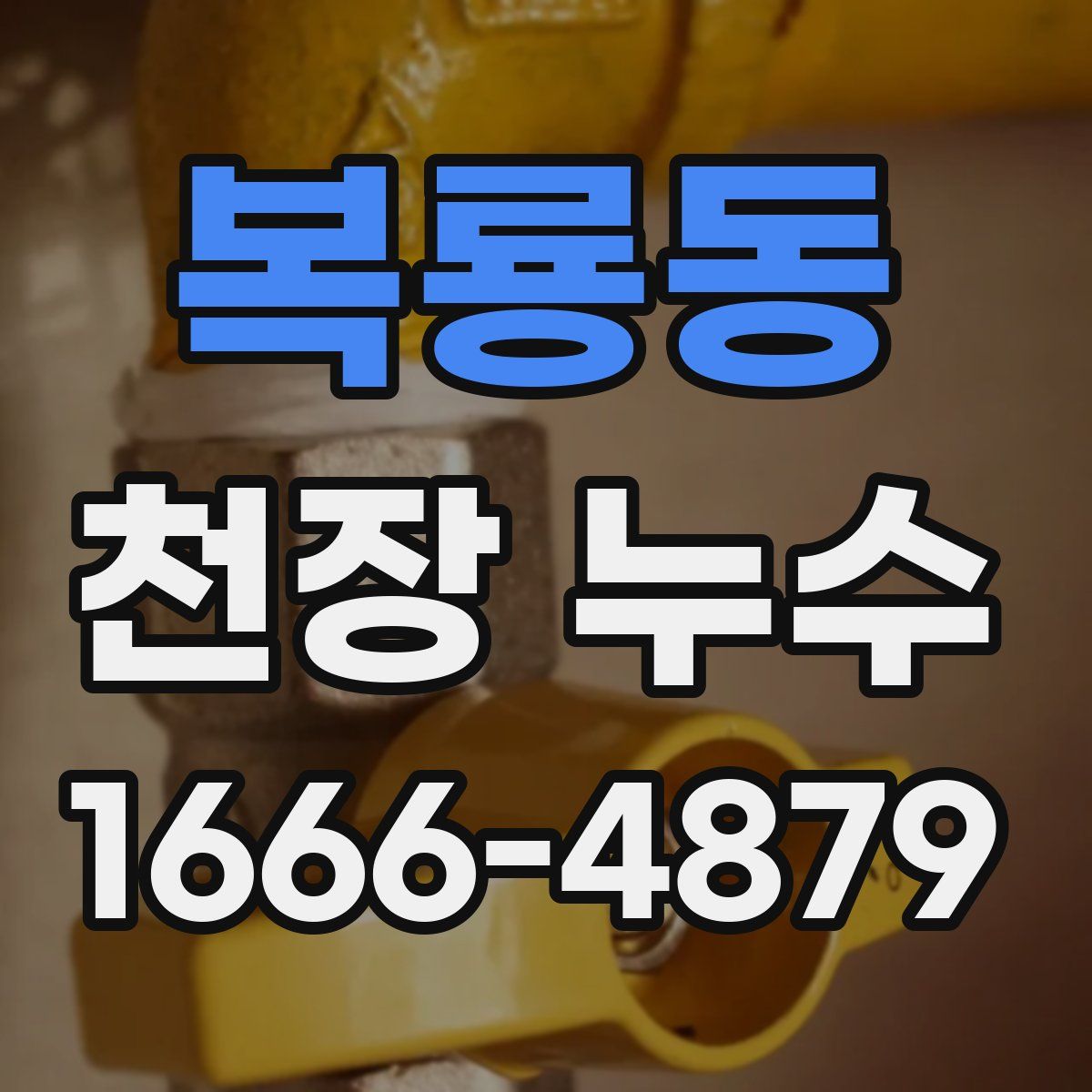 복룡동 천장 누수