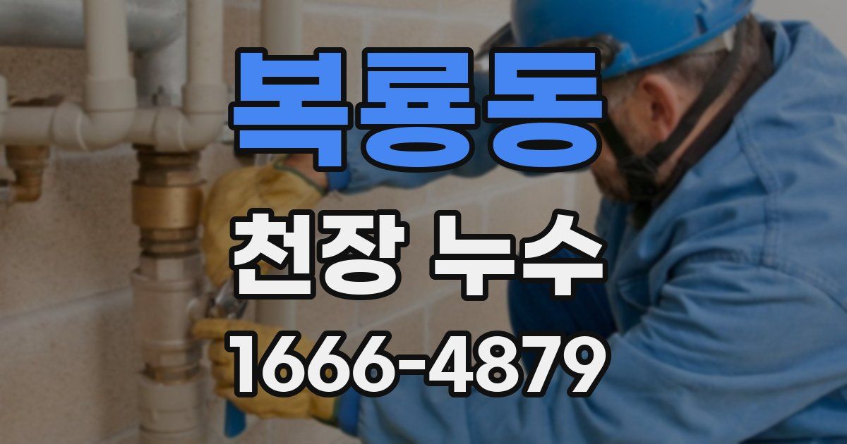 복룡동 천장 누수