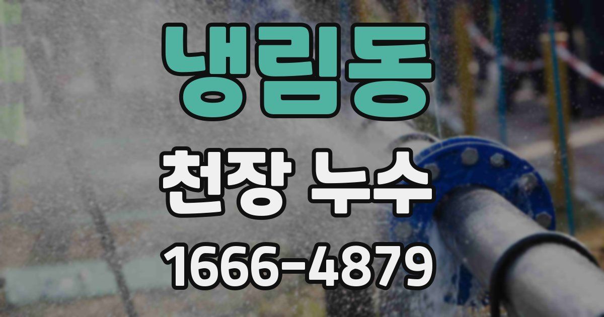 냉림동 천장 누수