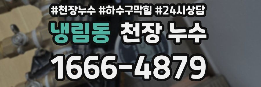 냉림동 천장 누수