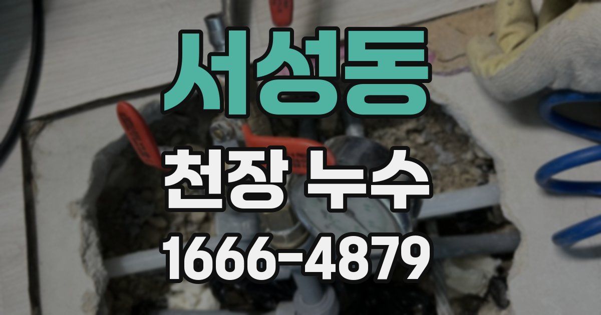 서성동 천장 누수