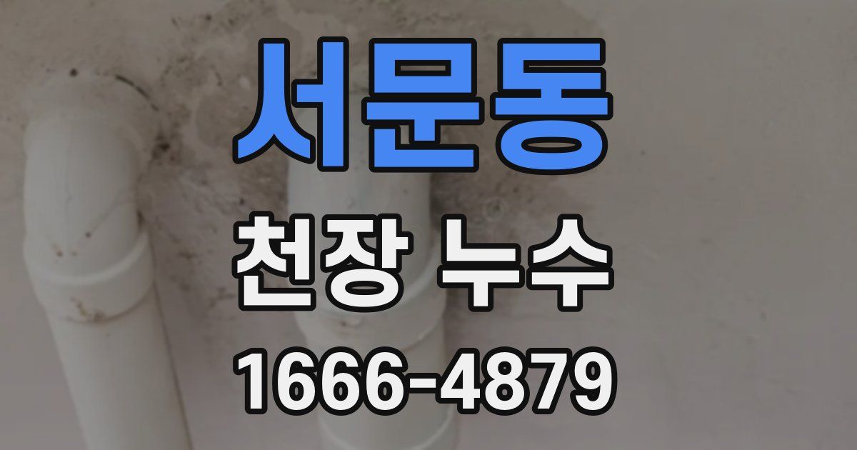 서문동 천장 누수