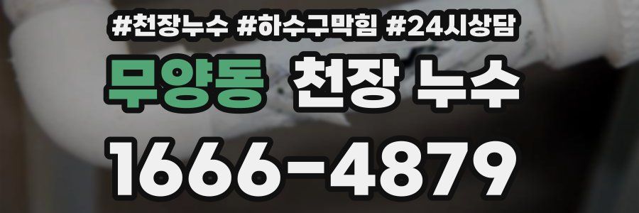 무양동 천장 누수