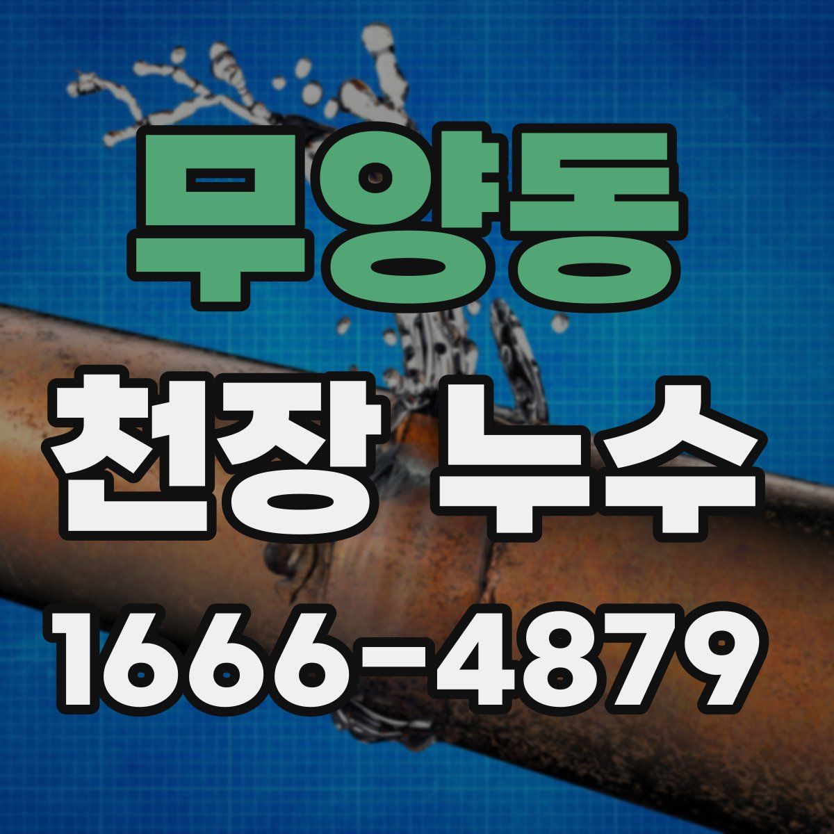 무양동 천장 누수