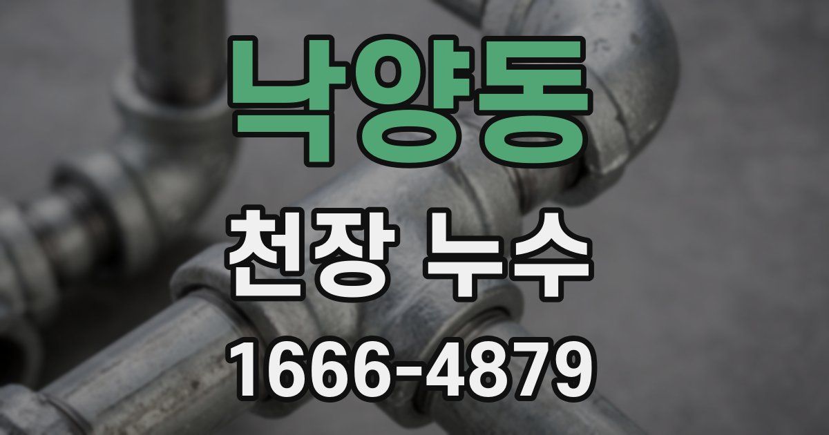 낙양동 천장 누수