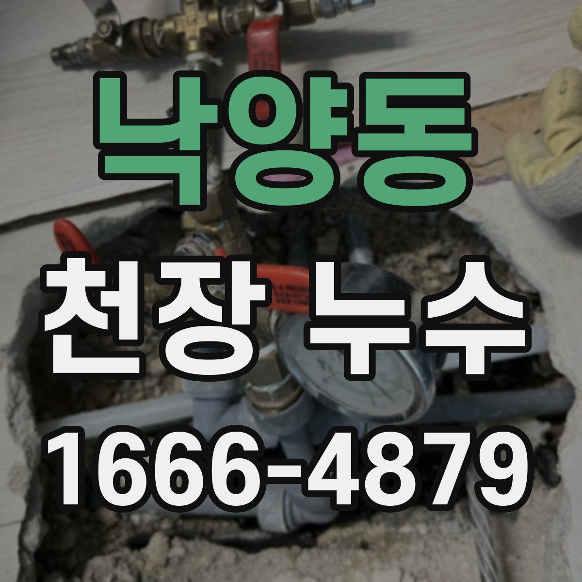 낙양동 천장 누수