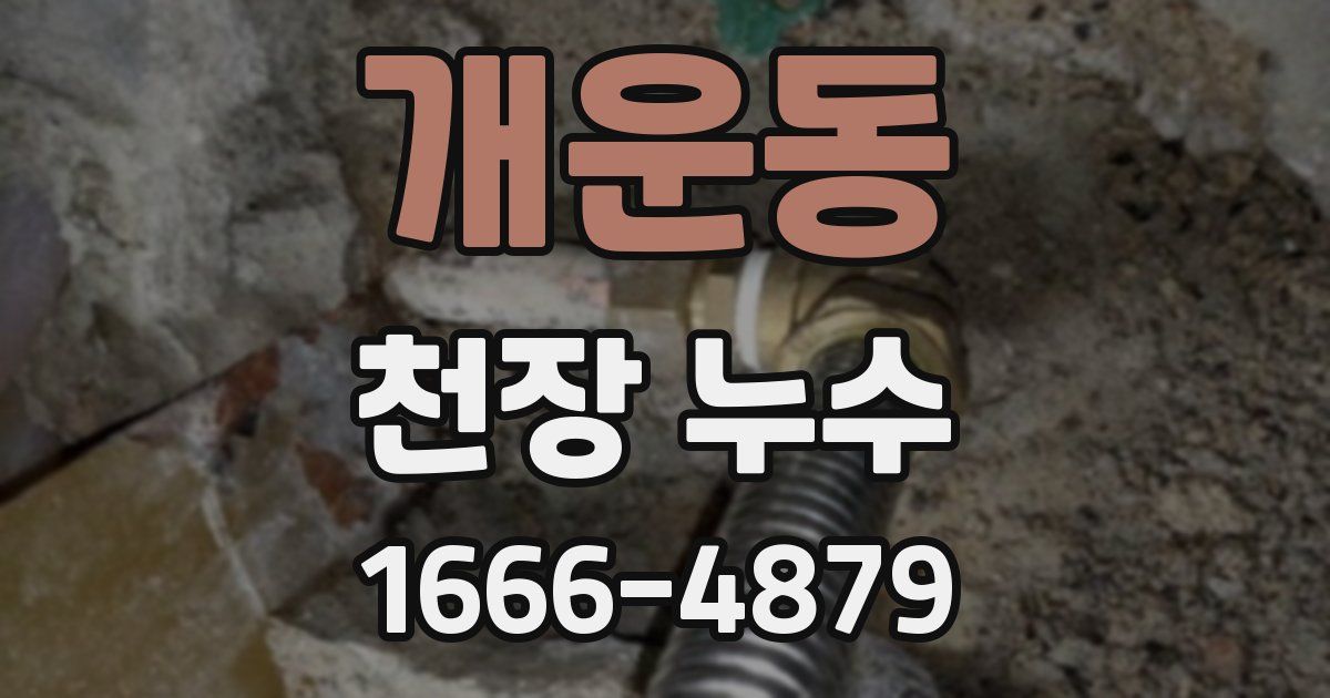 개운동 천장 누수