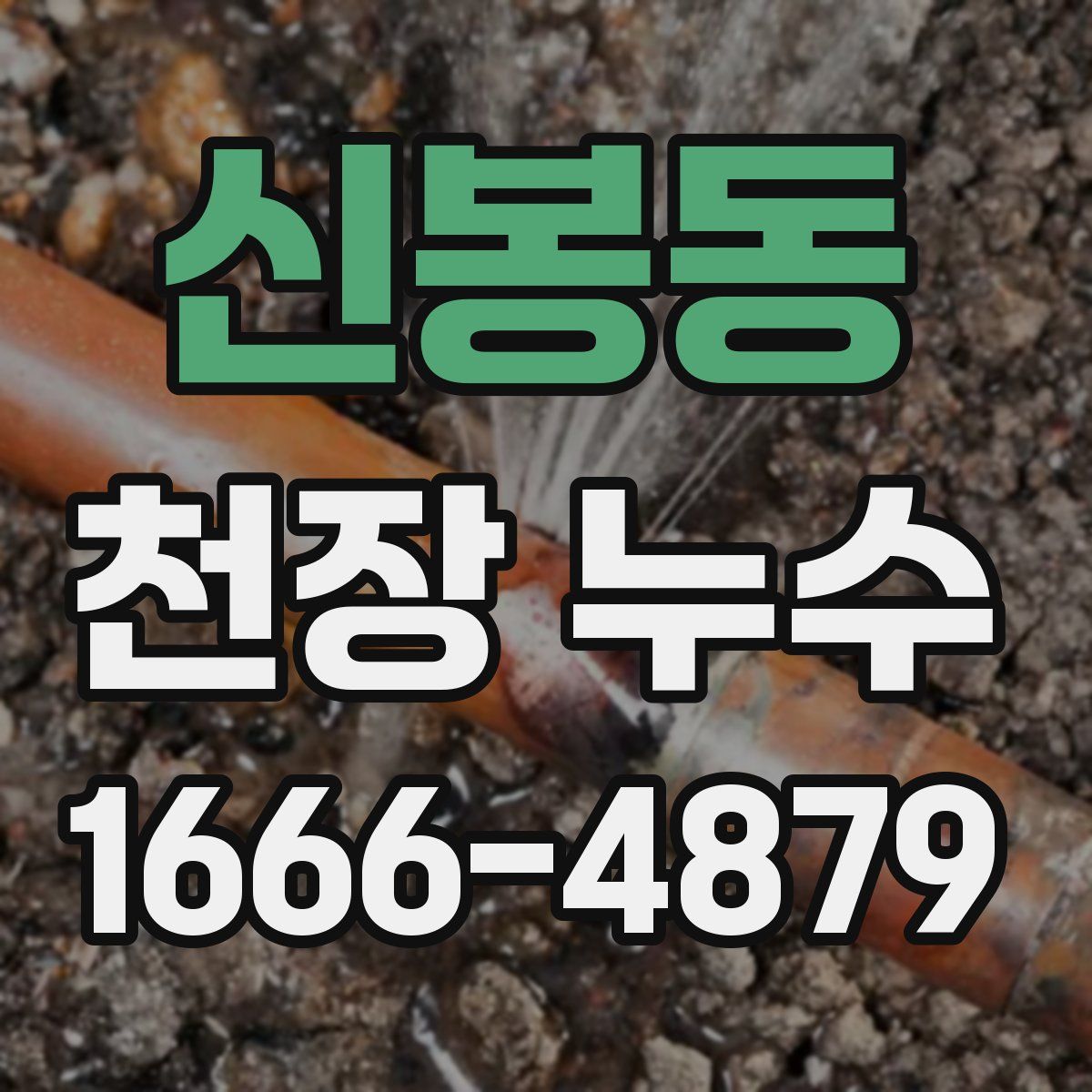 신봉동 천장 누수
